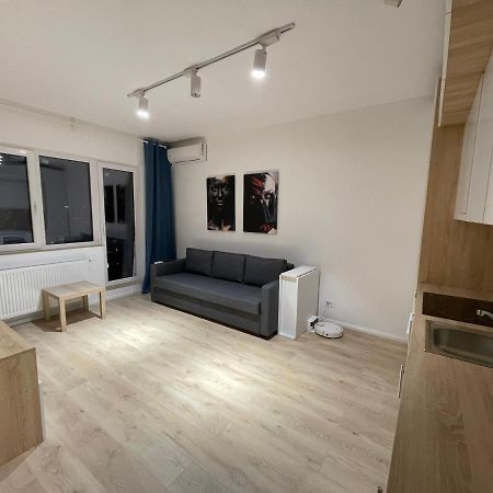 Treasure Luxury Apartment Palace Bukarest Eksteriør billede